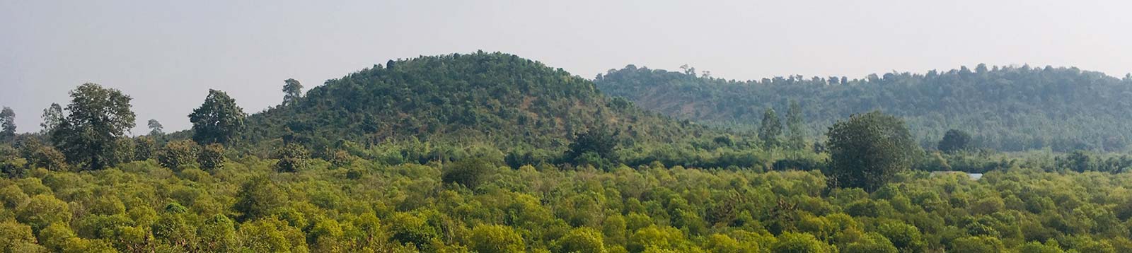 Agri Business | DS Group