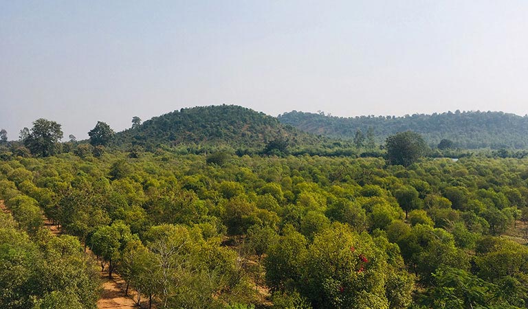 Agri Business | DS Group