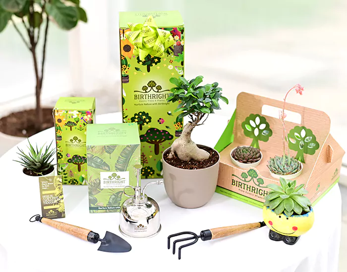 Birthright Plant Gift Packs