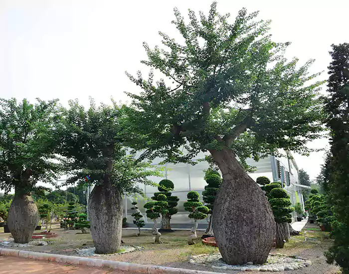 Landscaping Services by Birthright