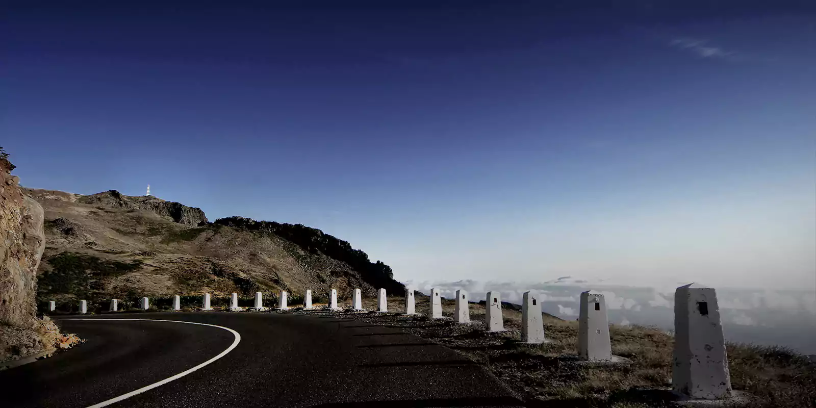 Milestones and Success | DS Group