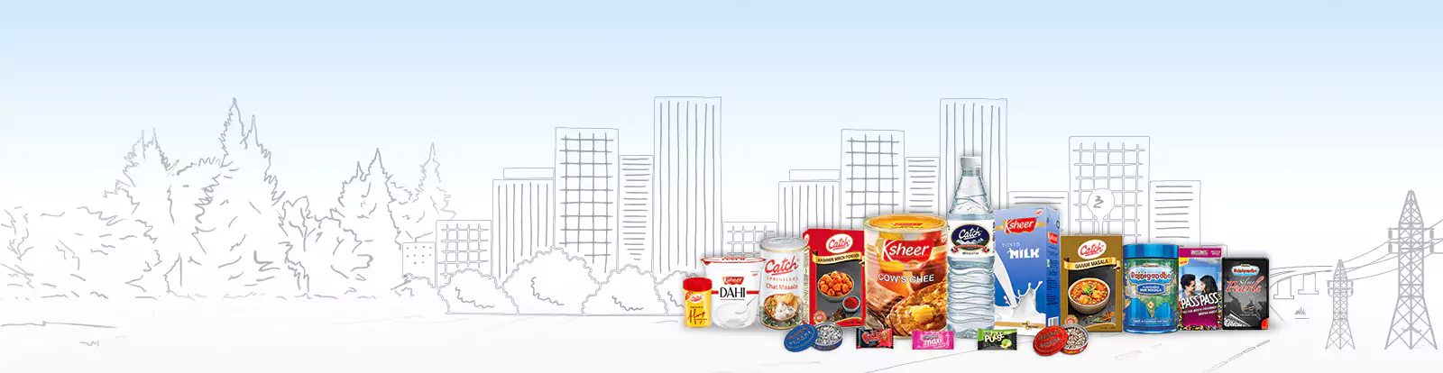 Businesses & Brands | DS Group