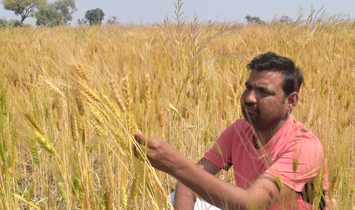 Livelihood Enhancement