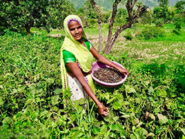 Livelihood Enhancement 